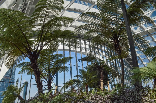 View of tall trees in Sky Garden